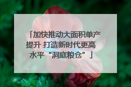 加快推动大面积单产提升 打造新时代更高水平“洞庭粮仓”