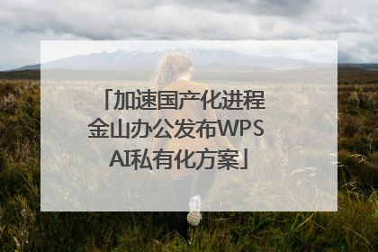 加速国产化进程 金山办公发布WPS AI私有化方案