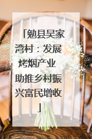 勉县吴家湾村：发展烤烟产业 助推乡村振兴富民增收