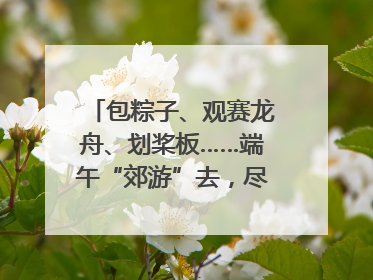 包粽子、观赛龙舟、划桨板……端午“郊游”去，尽享初夏风光｜端午氛围最浓时①