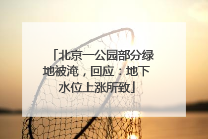 北京一公园部分绿地被淹，回应：地下水位上涨所致