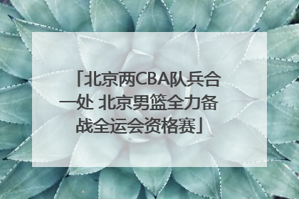 北京两CBA队兵合一处 北京男篮全力备战全运会资格赛