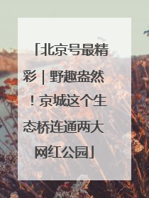 北京号最精彩｜野趣盎然！京城这个生态桥连通两大网红公园
