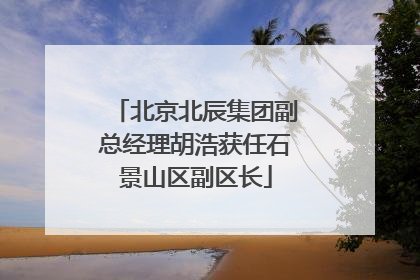 北京北辰集团副总经理胡浩获任石景山区副区长