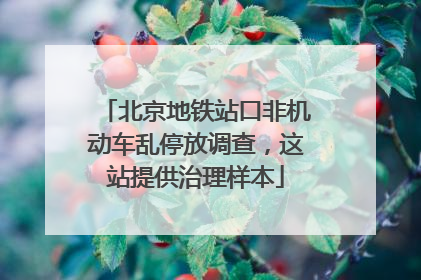 北京地铁站口非机动车乱停放调查，这站提供治理样本