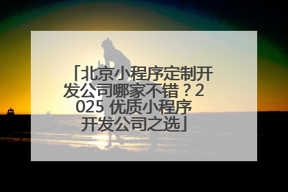 北京小程序定制开发公司哪家不错？2025 优质小程序开发公司之选