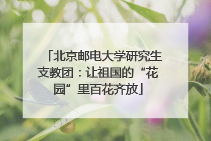 北京邮电大学研究生支教团：让祖国的“花园”里百花齐放