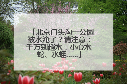 北京门头沟一公园被水淹了？请注意：千万别趟水，小心水蛇、水蛭……