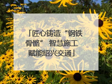 匠心铸造“钢铁骨骼” 智慧施工赋能绍兴交通