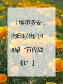 埃尔多安：向印尼出口48架“五代战机”