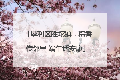 垦利区胜坨镇：粽香传邻里 端午话安康
