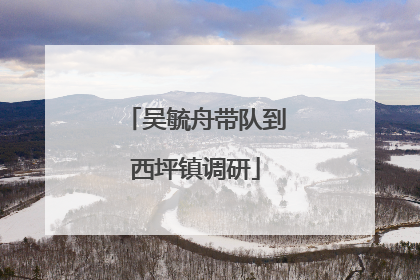 吴毓舟带队到西坪镇调研