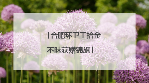 合肥环卫工拾金不昧获赠锦旗