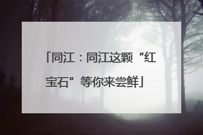 同江：同江这颗“红宝石”等你来尝鲜