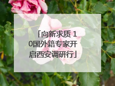 向新求质 10国外籍专家开启西安调研行