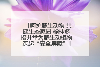 呵护野生动物 共建生态家园 榆林多措并举为野生动植物筑起“安全屏障”