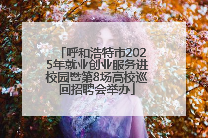 呼和浩特市2025年就业创业服务进校园暨第8场高校巡回招聘会举办