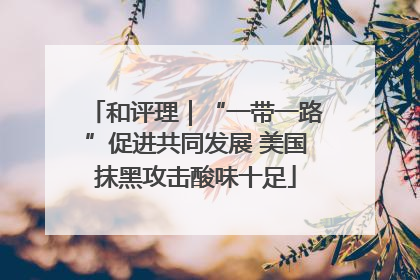 和评理｜“一带一路”促进共同发展 美国抹黑攻击酸味十足