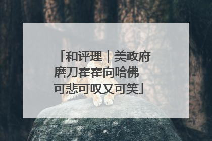 和评理｜美政府磨刀霍霍向哈佛 可悲可叹又可笑