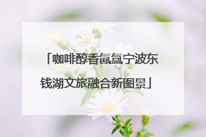 咖啡醇香氤氲宁波东钱湖文旅融合新图景