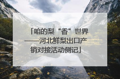 咱的梨“香”世界——河北鲜梨出口产销对接活动侧记