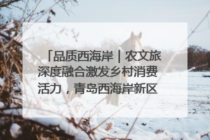 品质西海岸｜农文旅深度融合激发乡村消费活力，青岛西海岸新区的乡村振兴实践