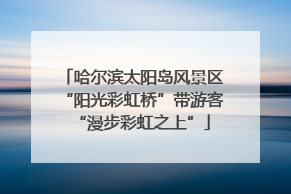 哈尔滨太阳岛风景区“阳光彩虹桥”带游客“漫步彩虹之上”