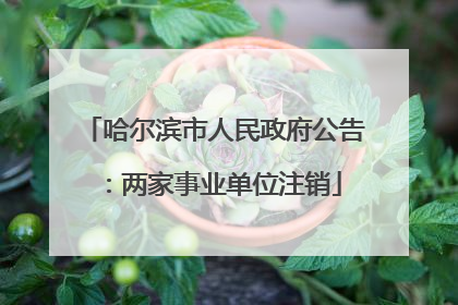 哈尔滨市人民政府公告：两家事业单位注销