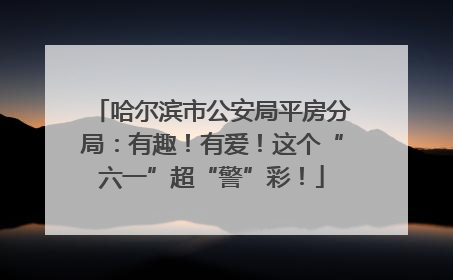 哈尔滨市公安局平房分局：有趣！有爱！这个“六一”超“警”彩！