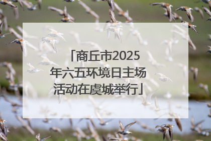 商丘市2025年六五环境日主场活动在虞城举行