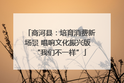 商河县：培育消费新场景 唱响文化振兴版“我们不一样”