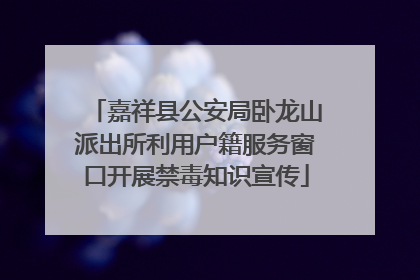 嘉祥县公安局卧龙山派出所利用户籍服务窗口开展禁毒知识宣传