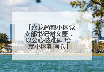 嘉龙尚都小区党支部书记谢文盛：以公心破难题 绘就小区新画卷
