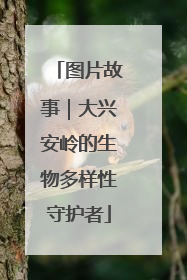 图片故事｜大兴安岭的生物多样性守护者