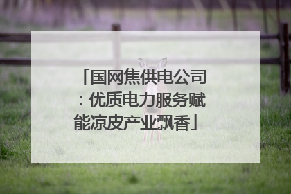 国网焦供电公司：优质电力服务赋能凉皮产业飘香