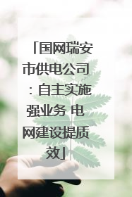 国网瑞安市供电公司：自主实施强业务 电网建设提质效