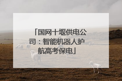 国网十堰供电公司：智能机器人护航高考保电