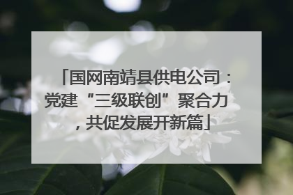 国网南靖县供电公司：党建“三级联创”聚合力，共促发展开新篇