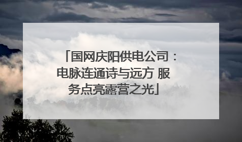国网庆阳供电公司：电脉连通诗与远方 服务点亮露营之光