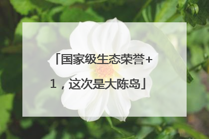 国家级生态荣誉+1，这次是大陈岛