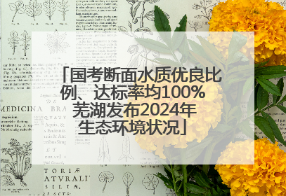 国考断面水质优良比例、达标率均100% 芜湖发布2024年生态环境状况