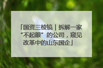 国资三棱镜｜拆解一家“不起眼”的公司，窥见改革中的山东国企