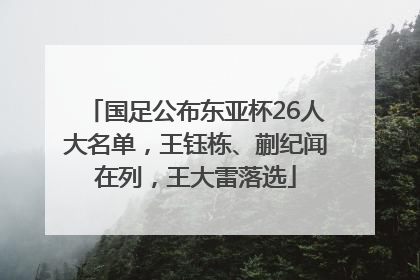国足公布东亚杯26人大名单，王钰栋、蒯纪闻在列，王大雷落选