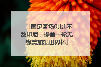 国足客场0比1不敌印尼，提前一轮无缘美加墨世界杯