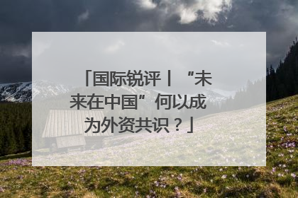 国际锐评丨“未来在中国”何以成为外资共识？