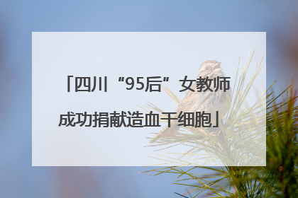 四川“95后”女教师成功捐献造血干细胞