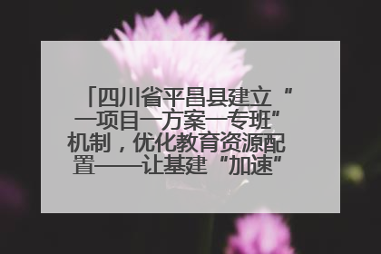 四川省平昌县建立“一项目一方案一专班”机制，优化教育资源配置——让基建“加速”，为成长“铺路”