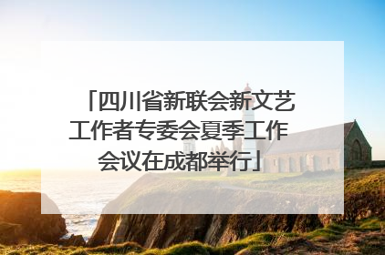 四川省新联会新文艺工作者专委会夏季工作会议在成都举行