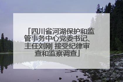 四川省河湖保护和监管事务中心党委书记、主任刘刚 接受纪律审查和监察调查