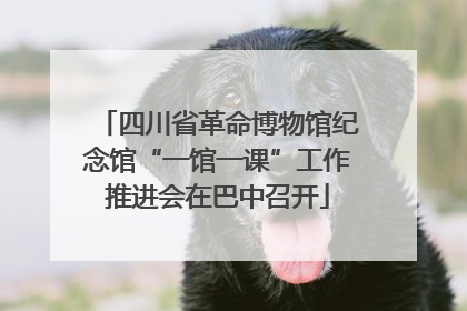 四川省革命博物馆纪念馆“一馆一课”工作推进会在巴中召开